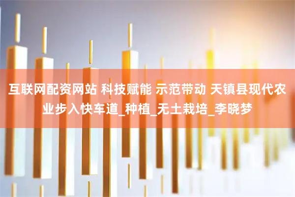 互联网配资网站 科技赋能 示范带动 天镇县现代农业步入快车道_种植_无土栽培_李晓梦